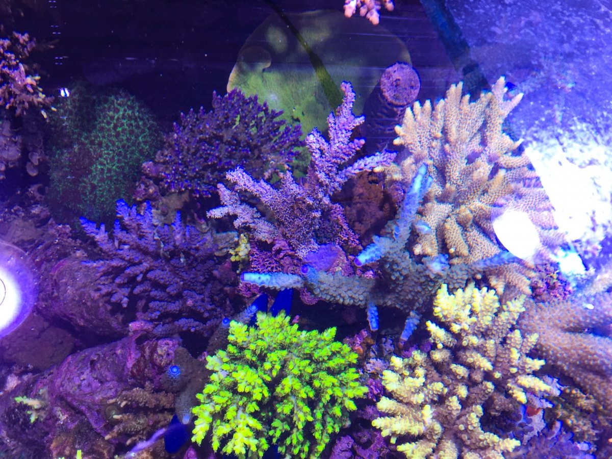 IMG_9908.jpg