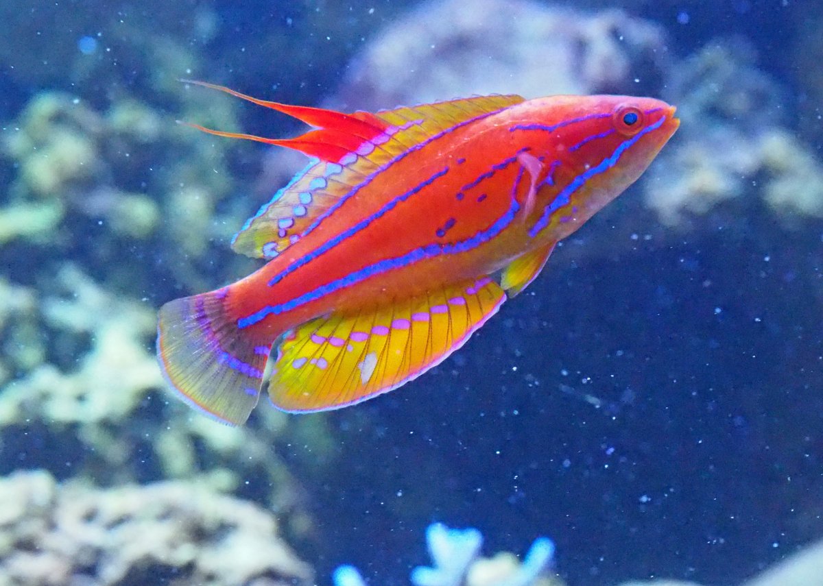 IMG_9934.jpeg