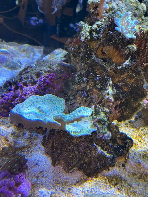 IMG_9952.jpg