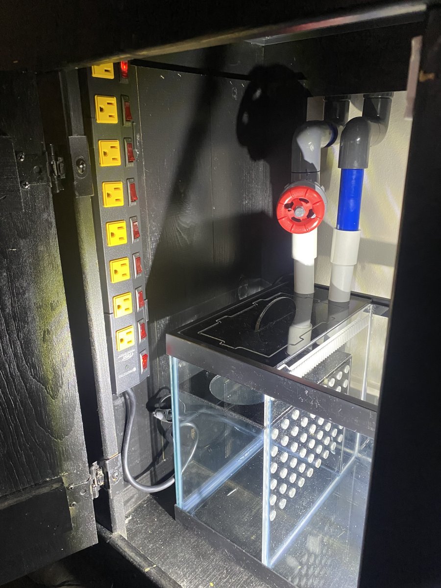 IMG_9964.jpeg