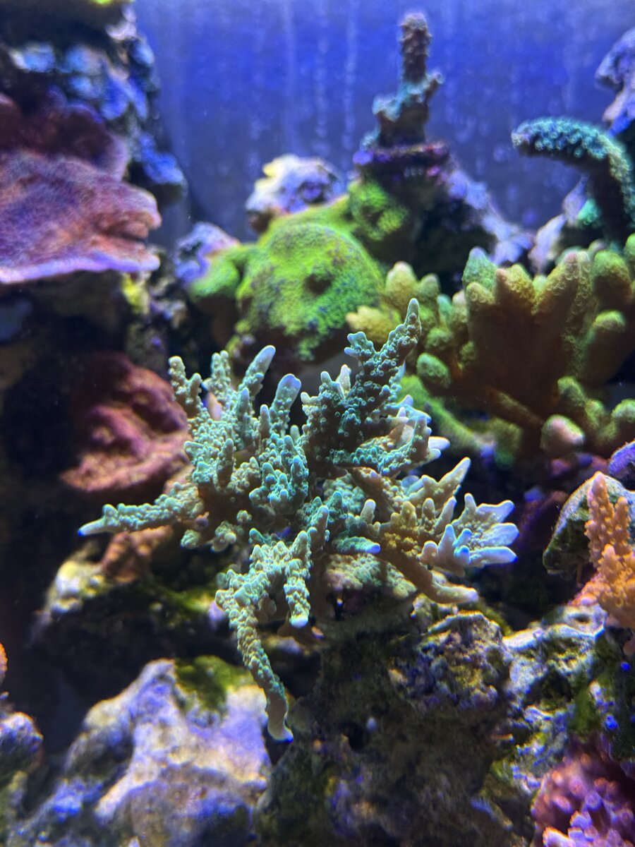 IMG_9981.jpeg