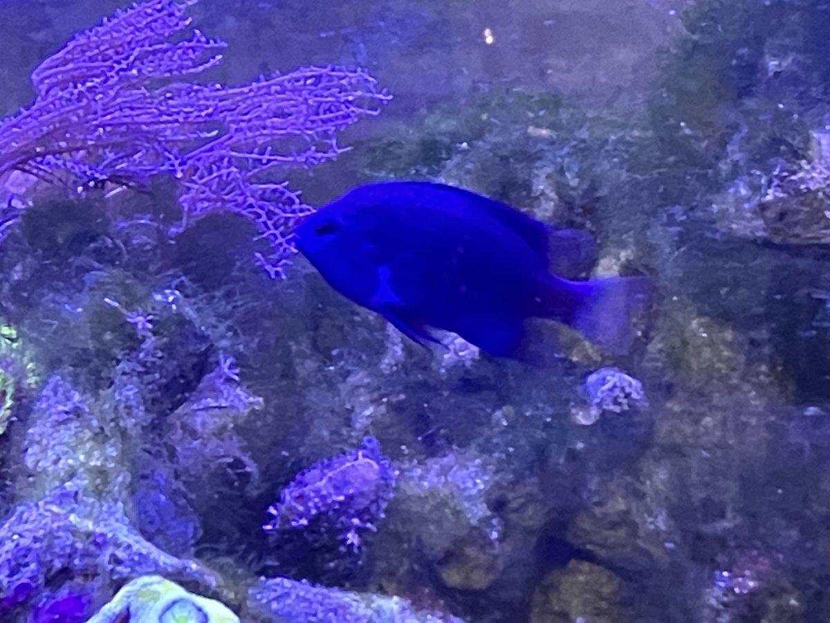 IMG_9986.jpeg