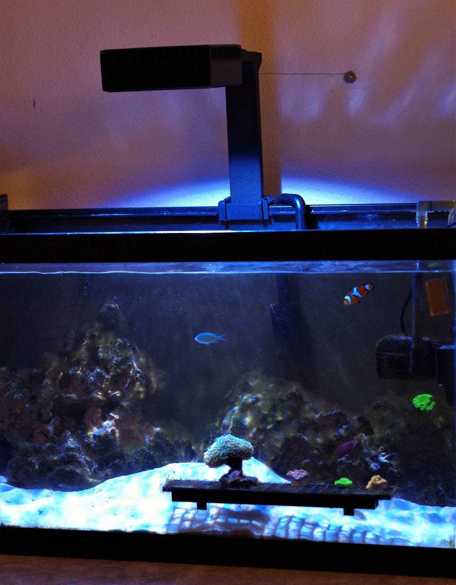 Red Sea LED 90 | Reef2Reef
