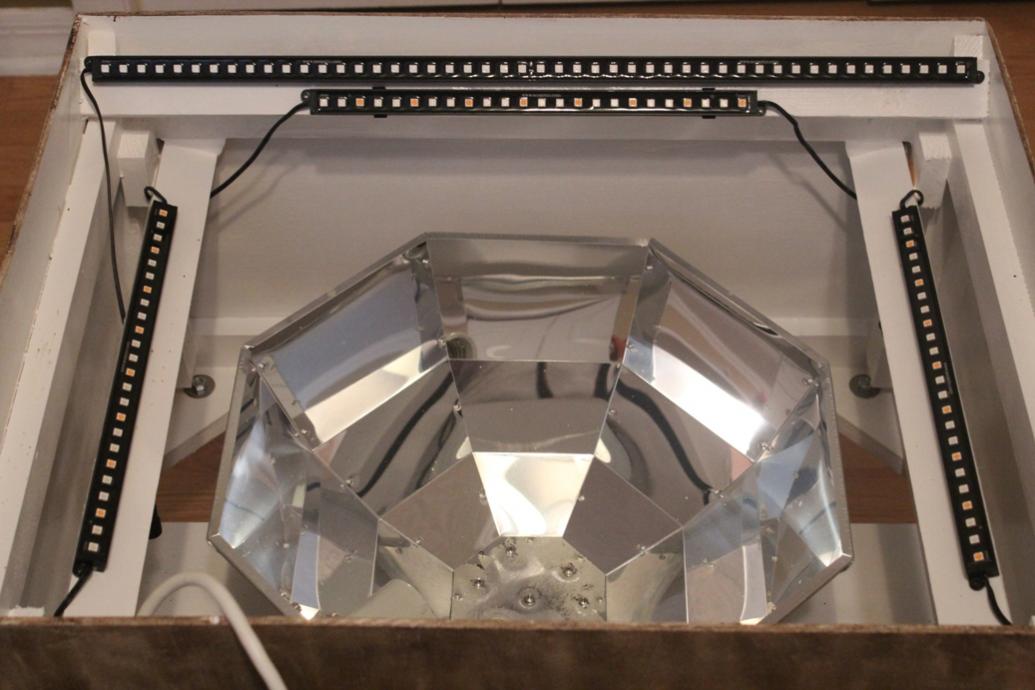 inside_canopy.jpg