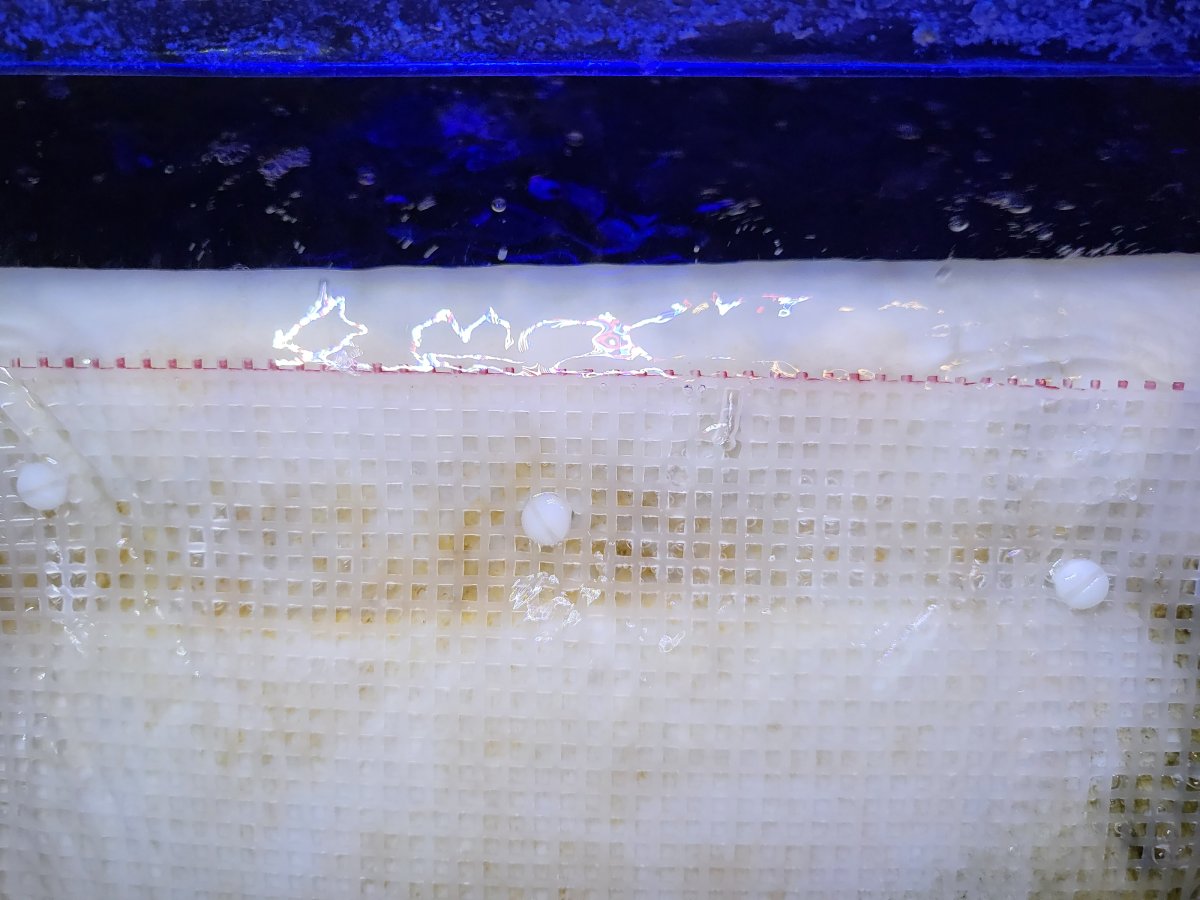 Installed Mesh.jpg
