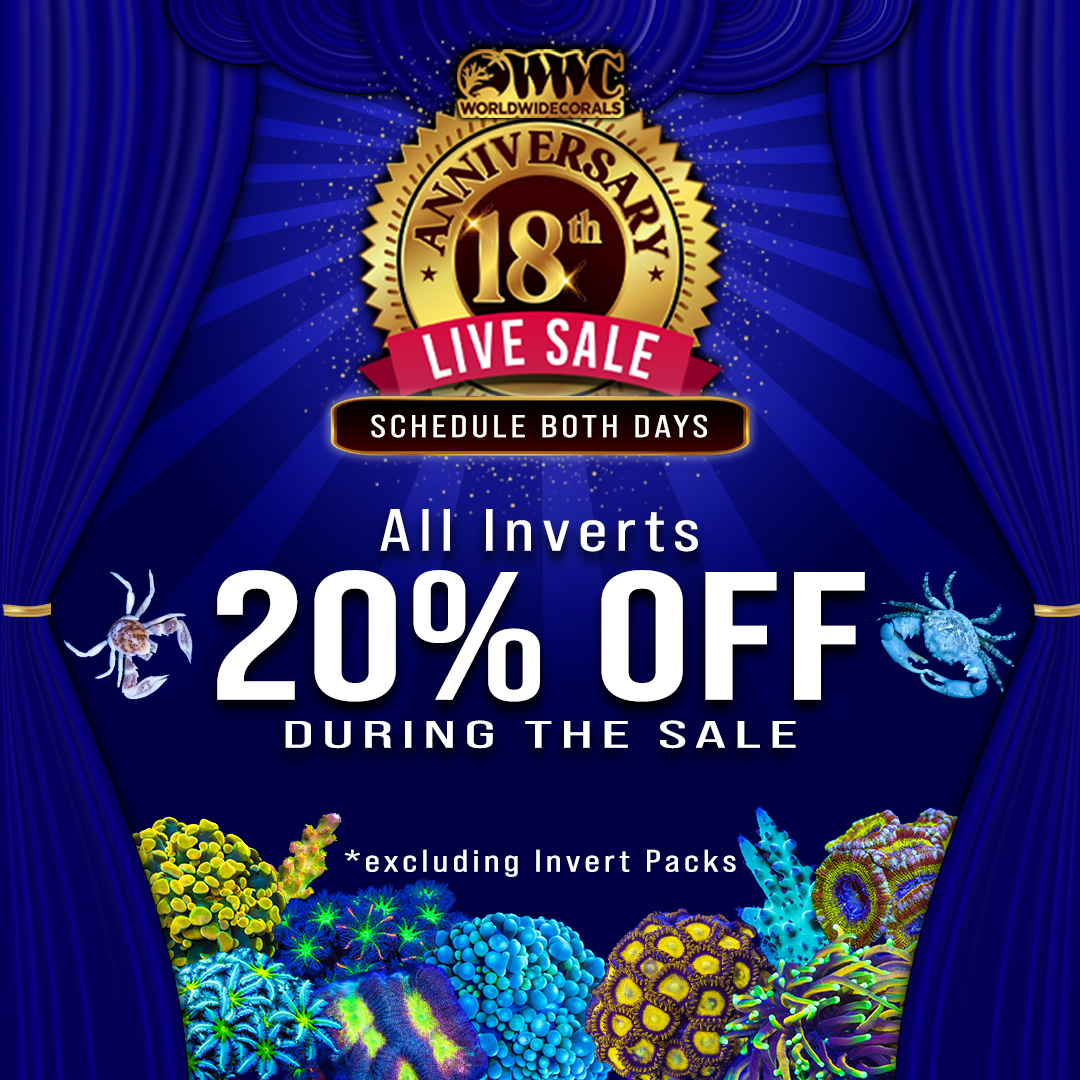 Celebrate 18 Years at World Wide Corals! Join us for our 18th ...