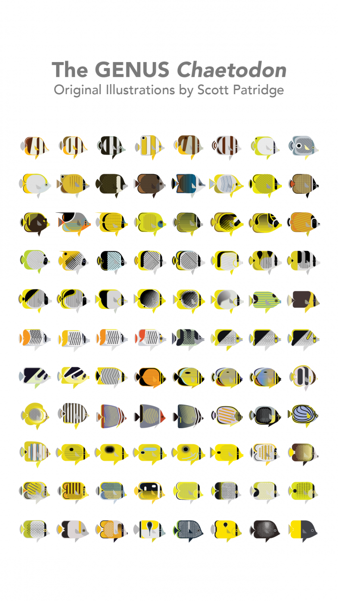 iphone-03.png