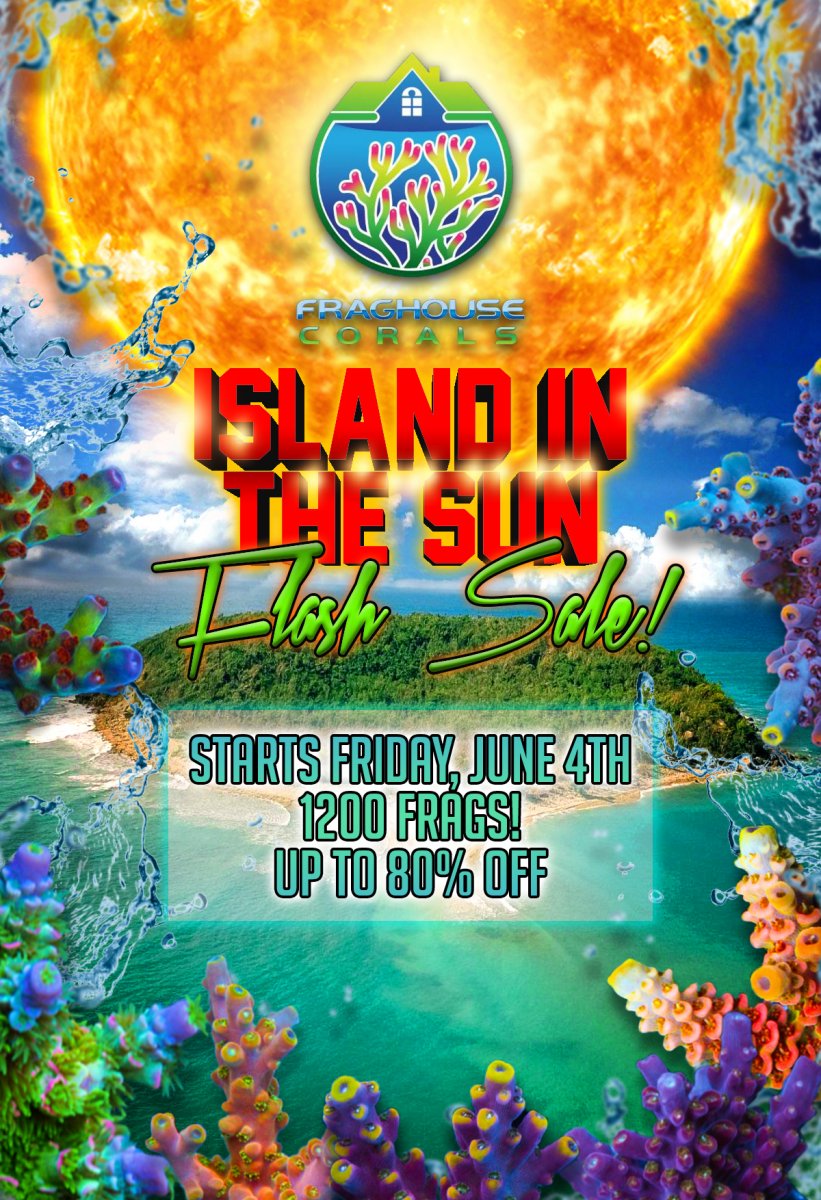 island in the sun flash sale!.jpg