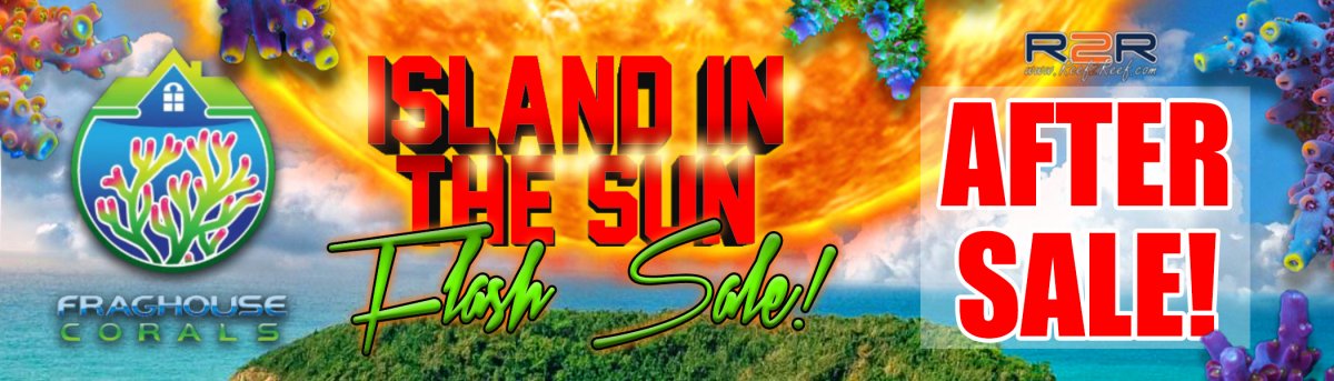island in the sun flash sale! r2r banner (1).jpg