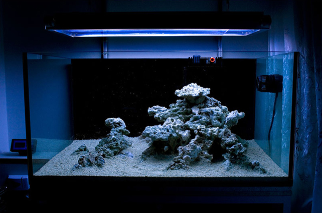island1.jpg