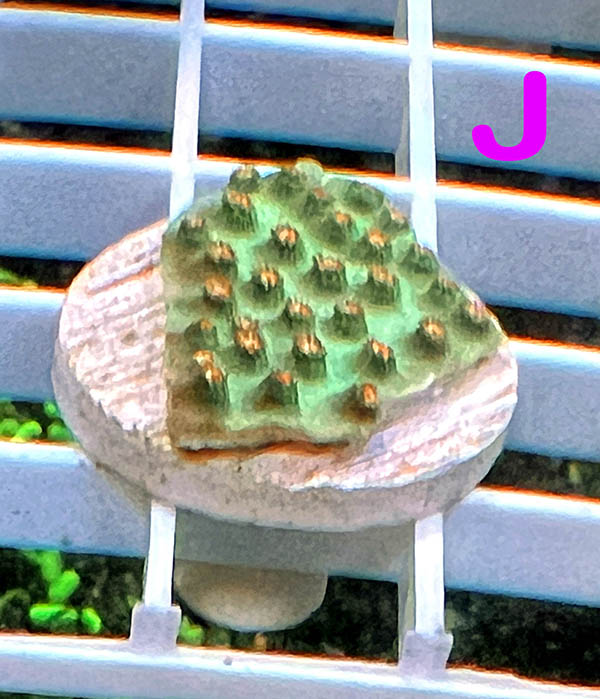 J2_Frag.jpg