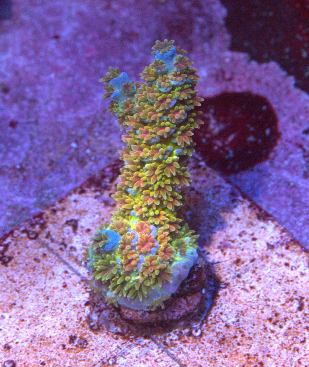 j6.jpg