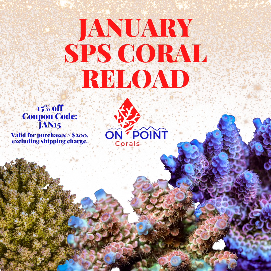 January SPS CORAL RELOAD.png