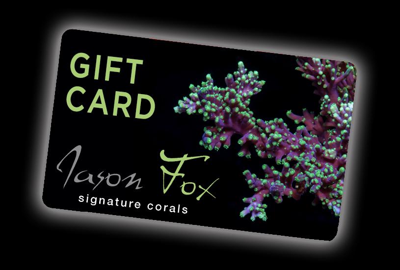 Jason Fox Signature Corals Gift Card.jpg