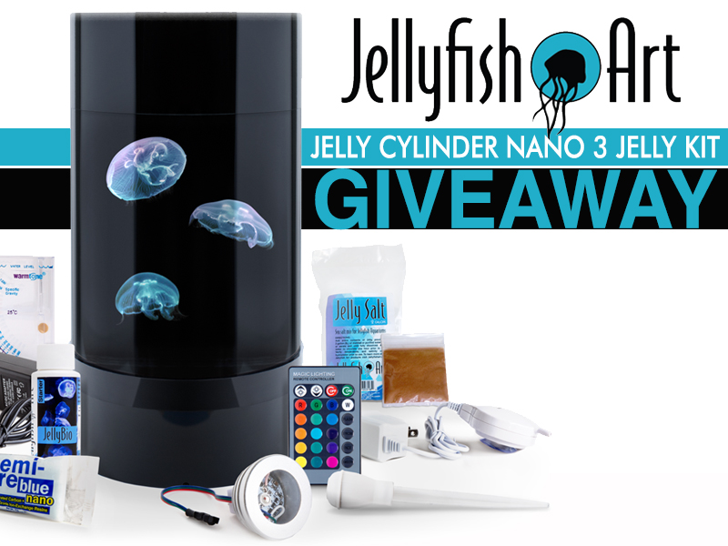 Jellyfish Art Giveaway.jpg