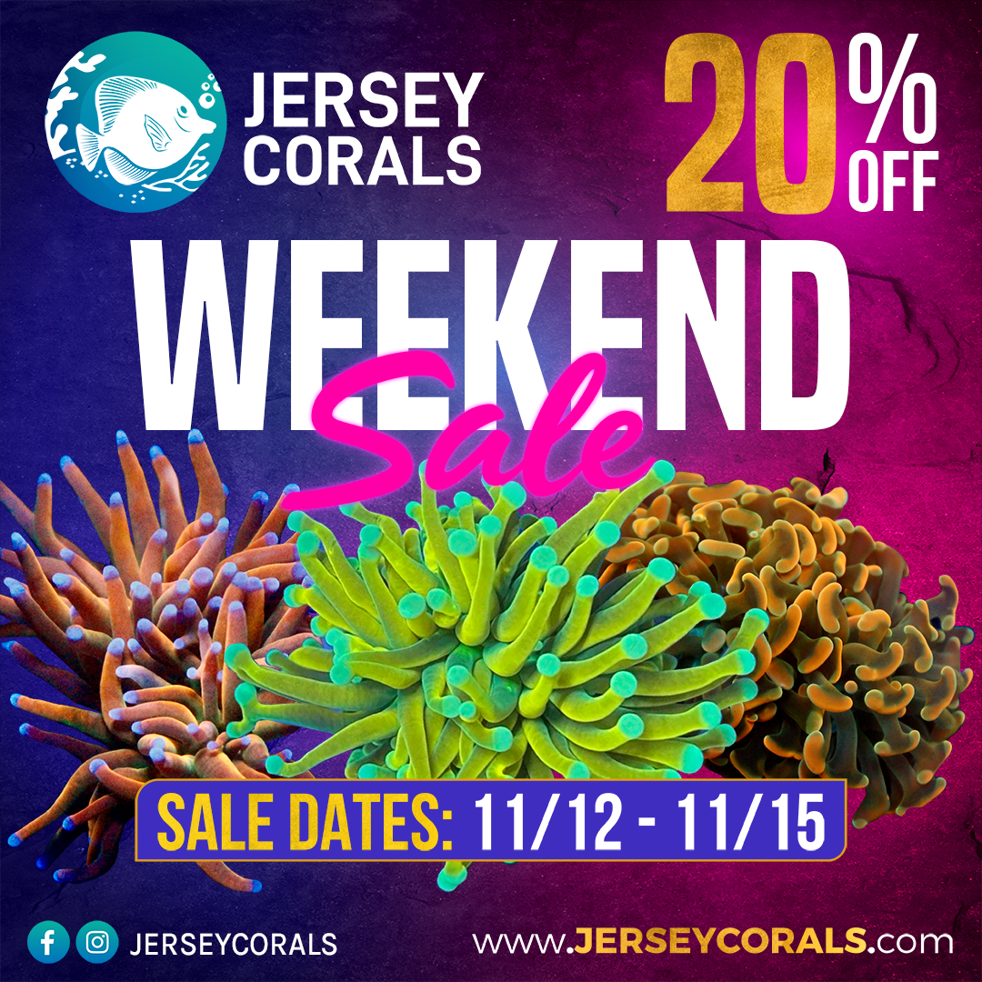 jersey coral weekend sale Social Media Post Square 1080 x 1080.png