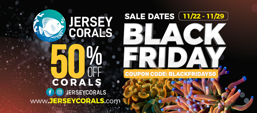 JERSEY CORALS BLACK FRIDAY Facebook Business Page Cover 820 x 360.png