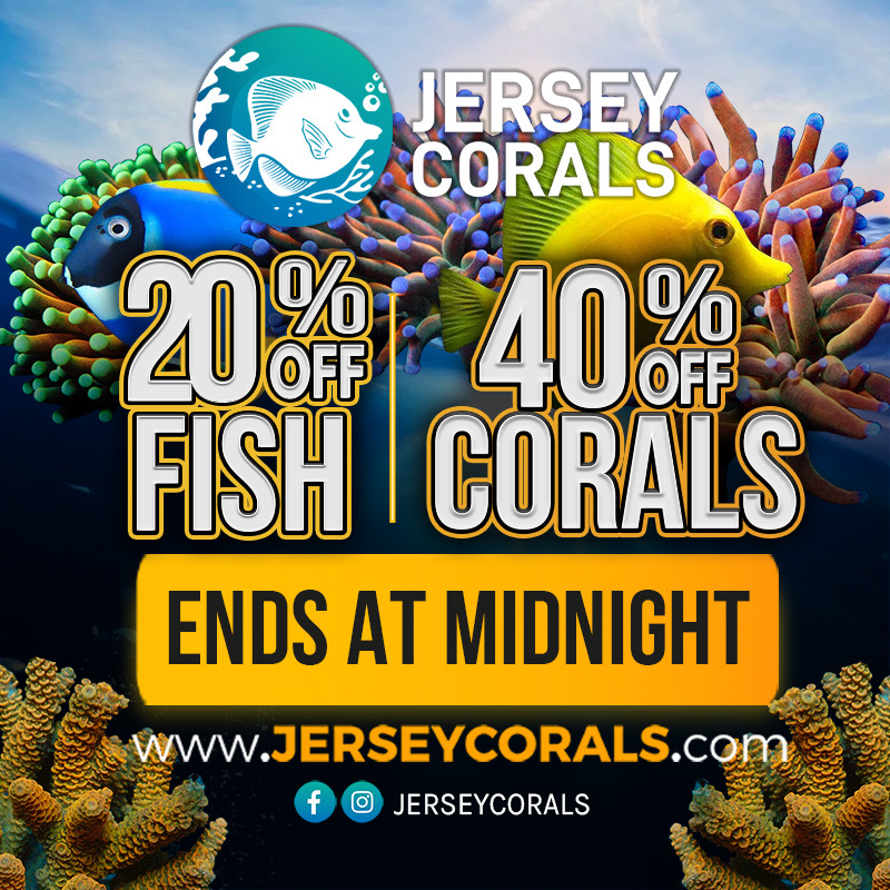 JERSEY CORALS EMAIL 800 X 800.jpeg