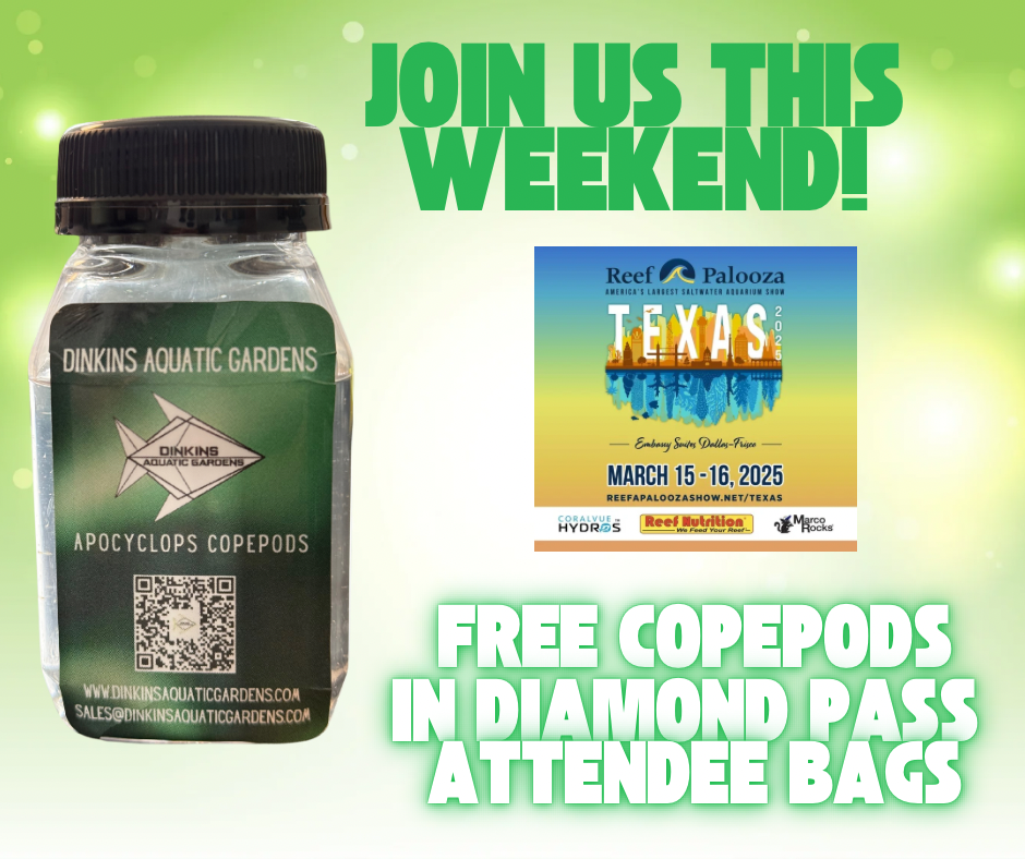 join us this weekend!!.png