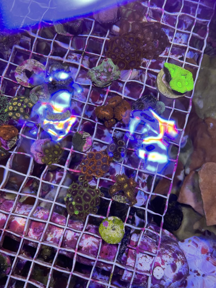 JPEG image 4 (2).jpeg