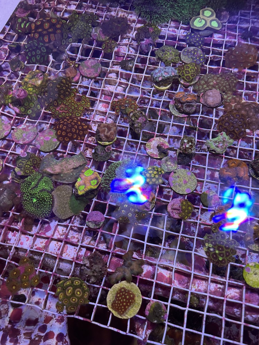 JPEG image 5 (2).jpeg