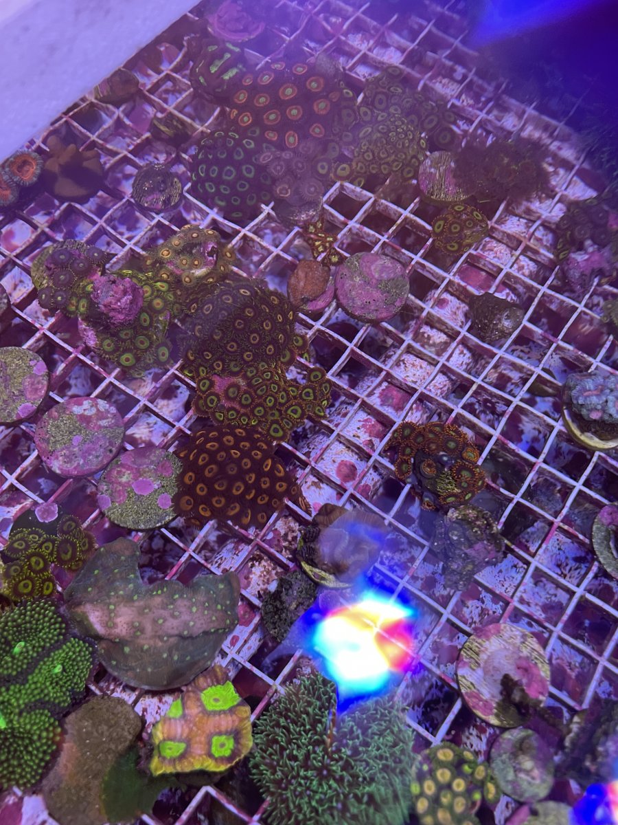 JPEG image 6 (2).jpeg