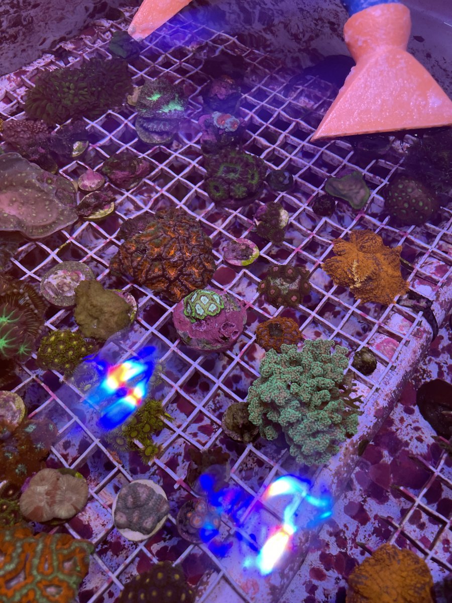 JPEG image 7 (2).jpeg