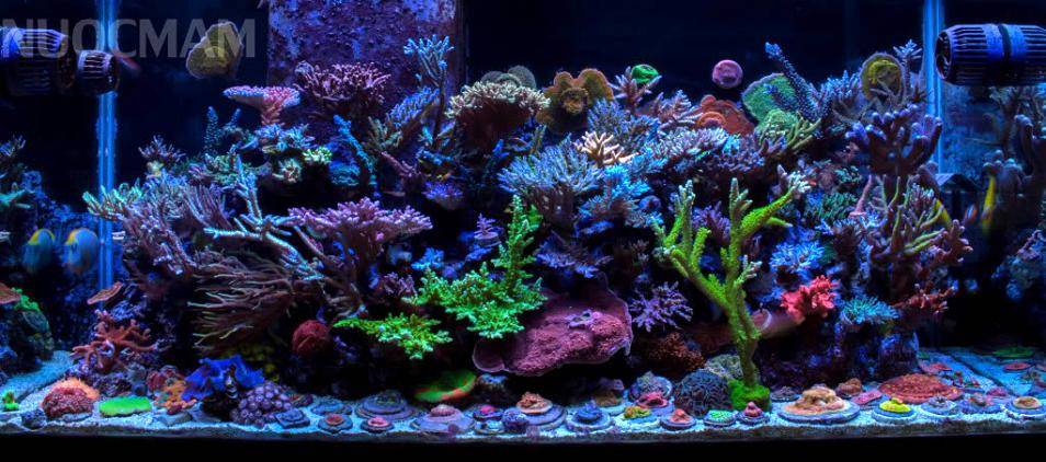 June122012FTS.jpg