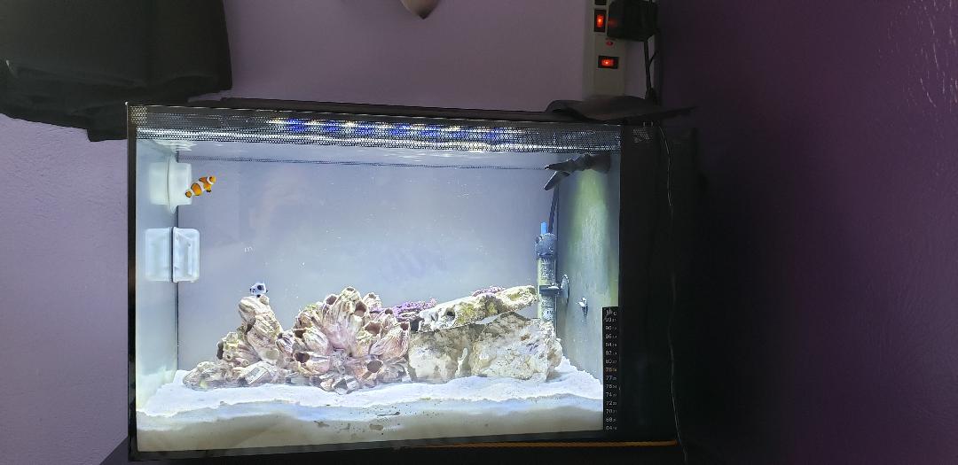 june27fluval.jpg