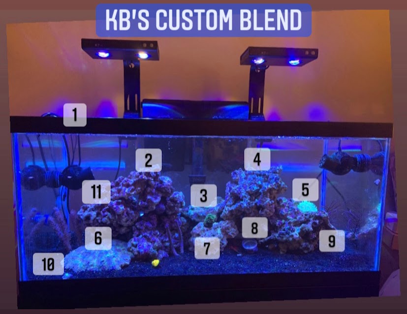 KB's Custom Blend.jpg