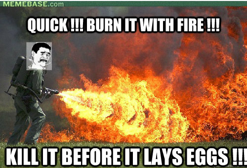 Kill it with fire.jpg