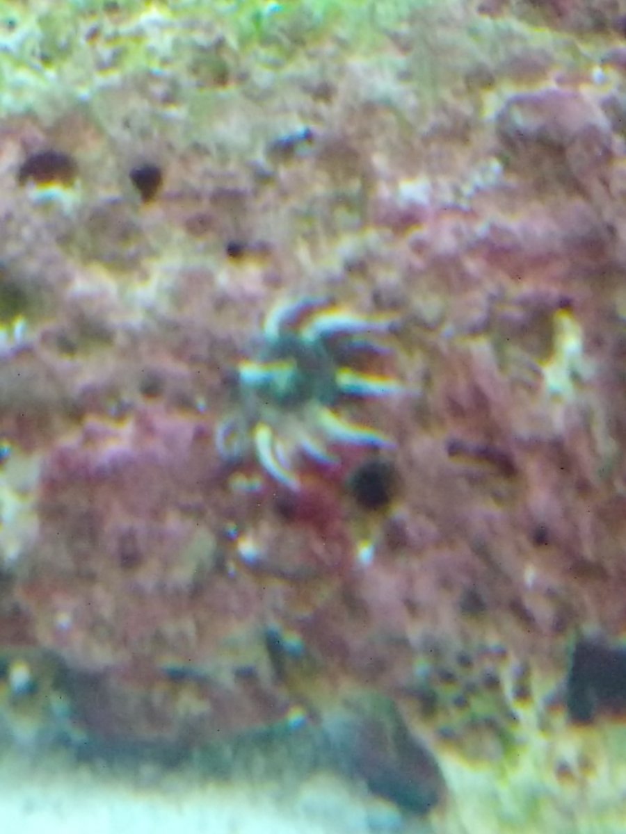 KIMG0965.JPG