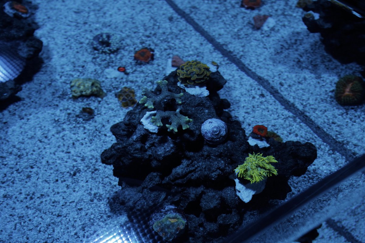 L1000119.JPG