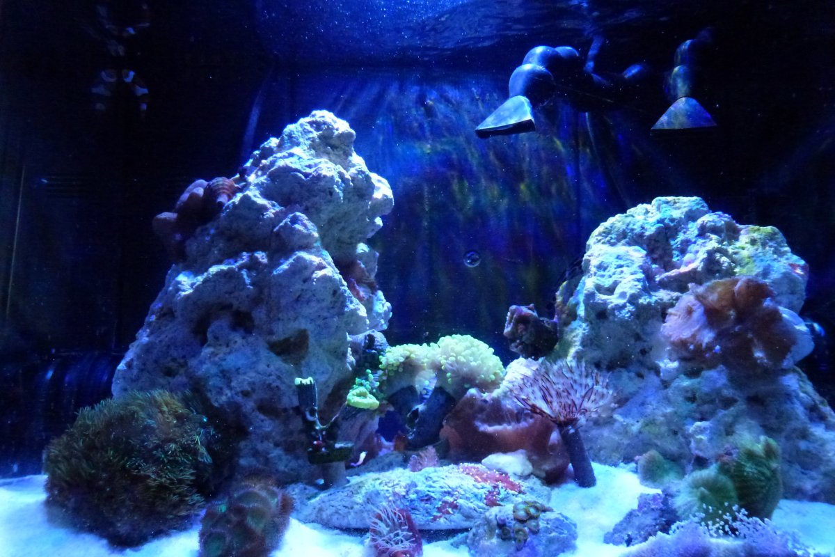 L1020658.JPG