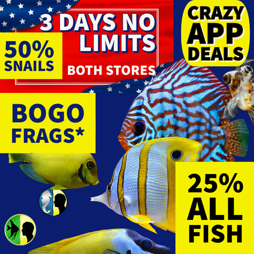 laborday sale BOTH STORES (1).jpg