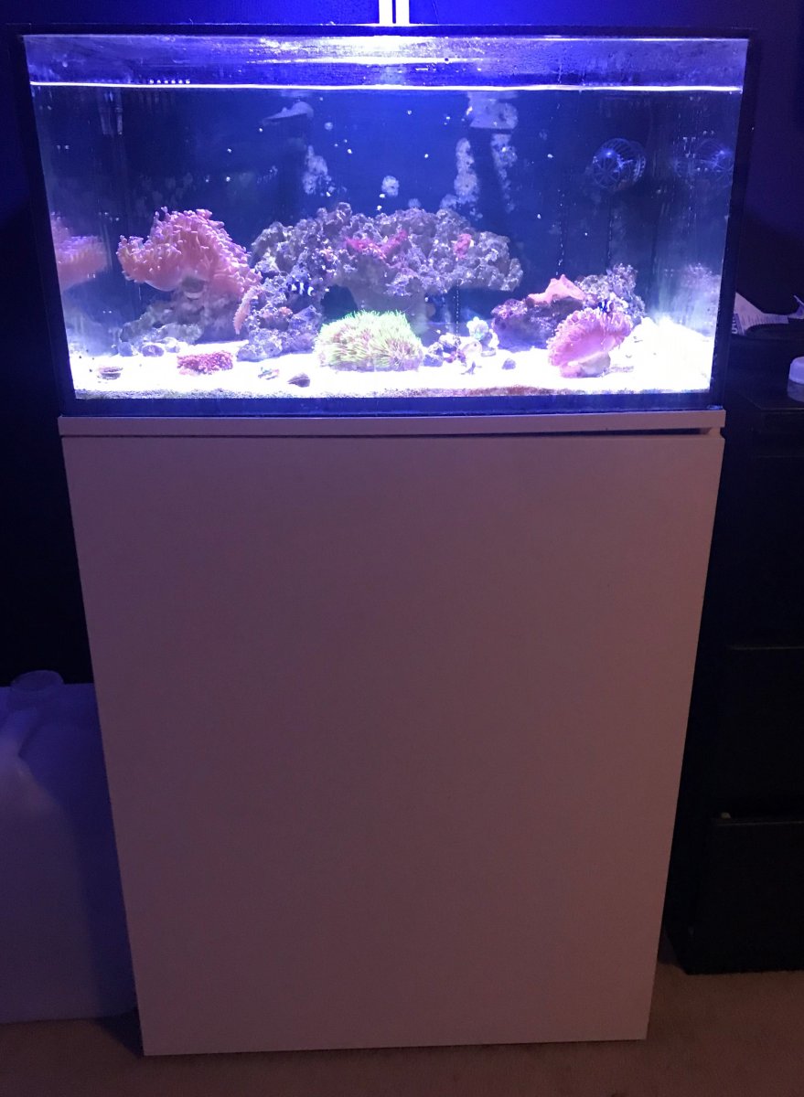 lagoon.jpg