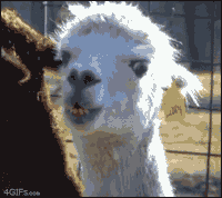 lam.gif