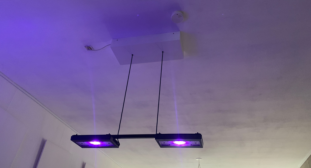 lamp2.png