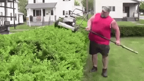 landscaping-trying-to-landscape.gif