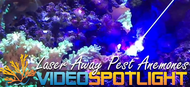 laser.jpg