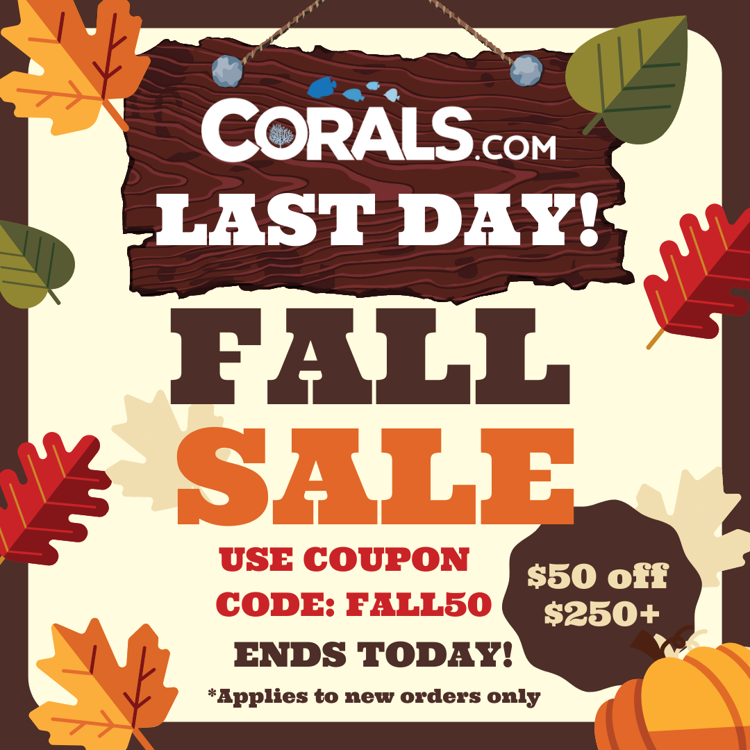 LAST DAY Fall Sale Instagram Post.png