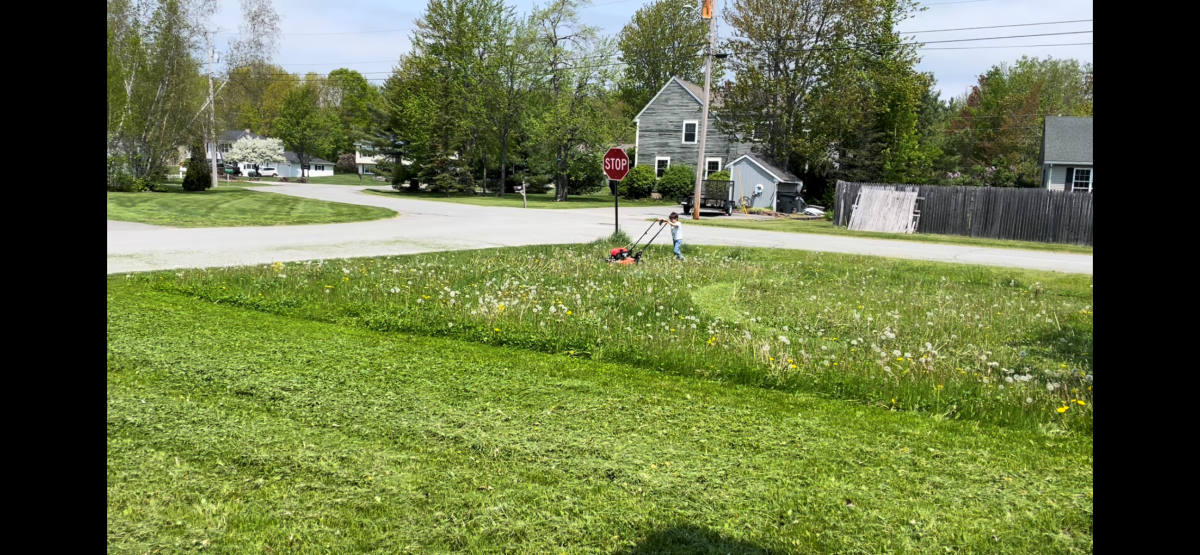lawn.png