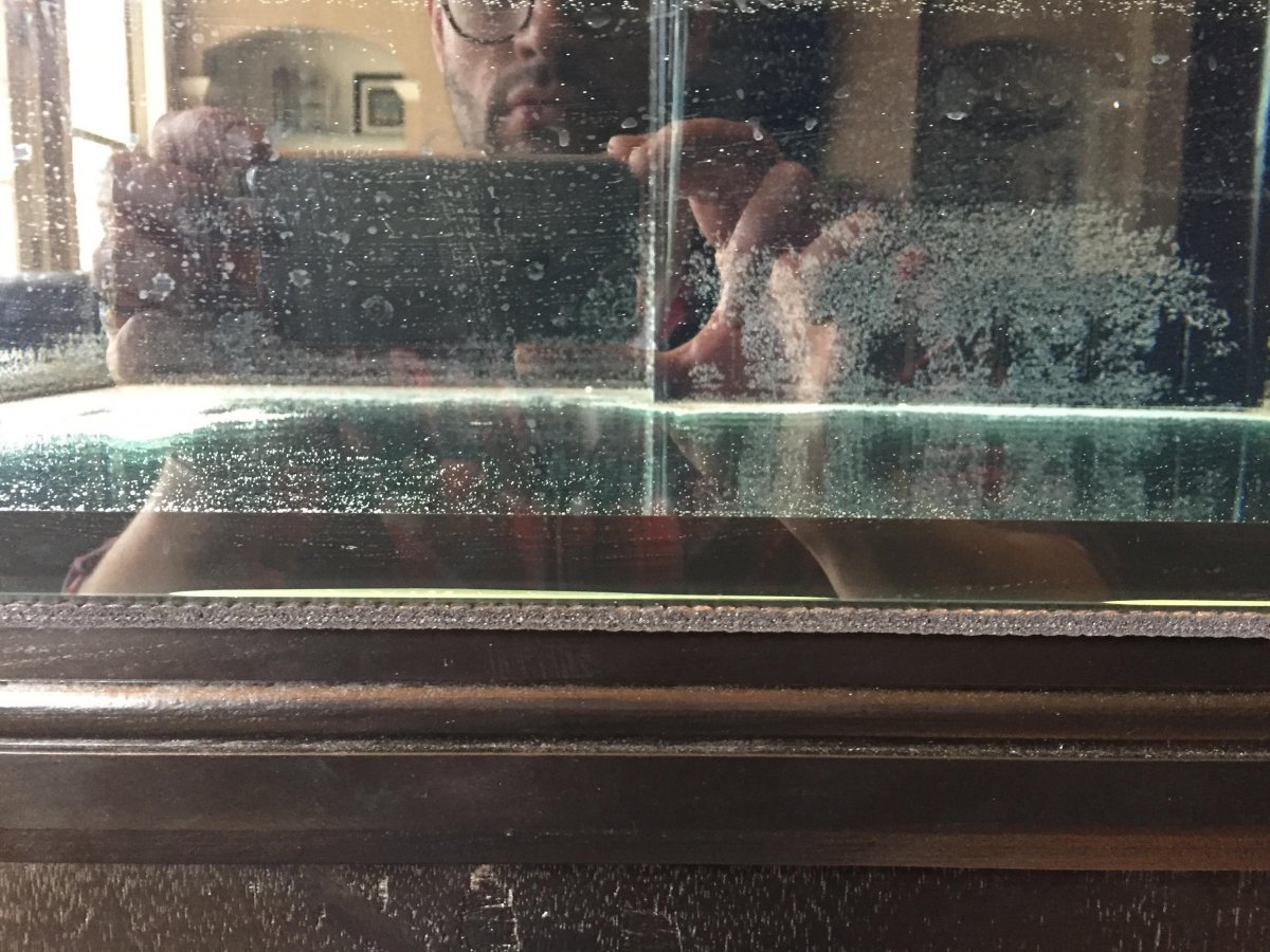 Leak Test 4.JPG