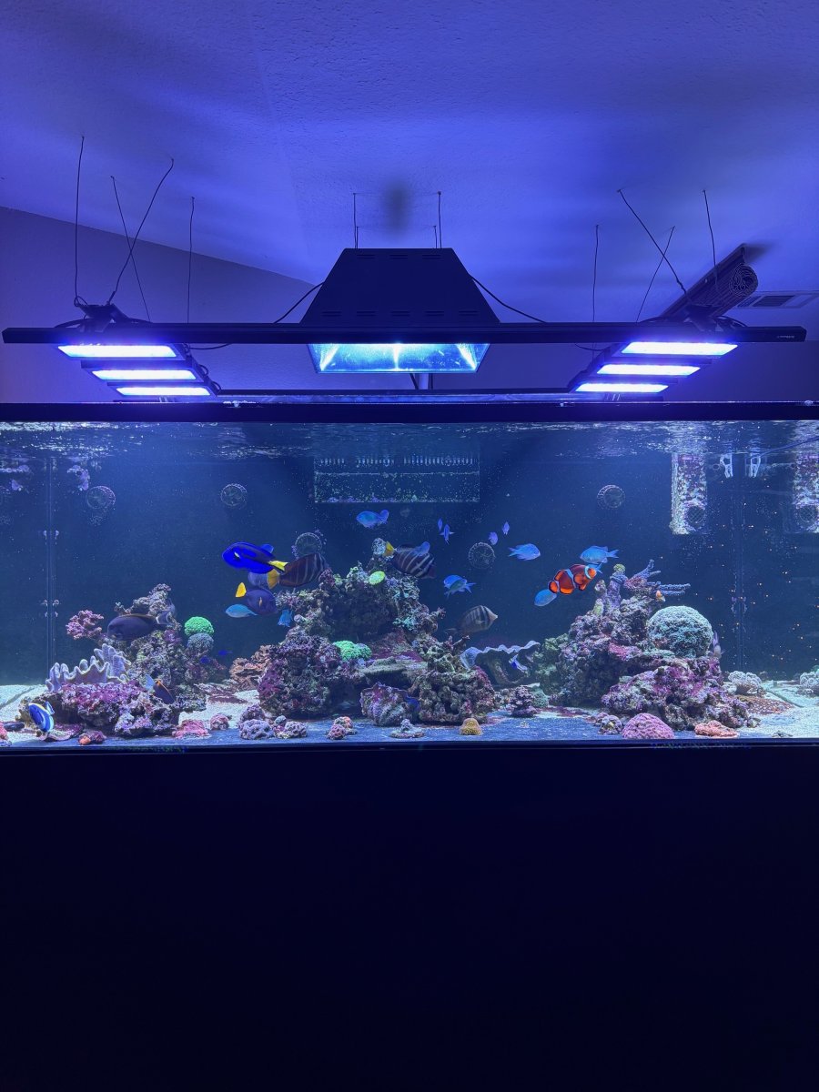 led 2.jpg