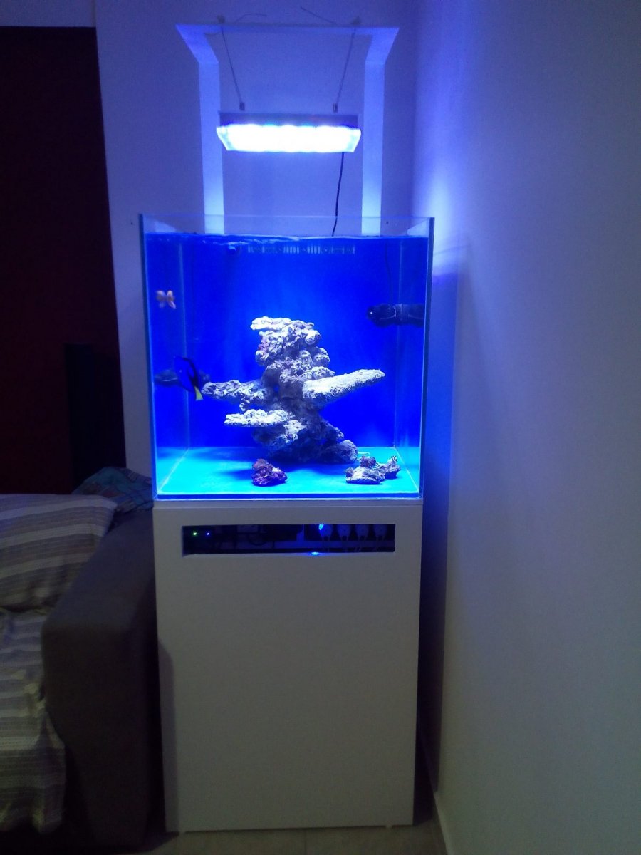 LED-aquarium-light-orphek-atlantik-compact-e1508089967942.jpg
