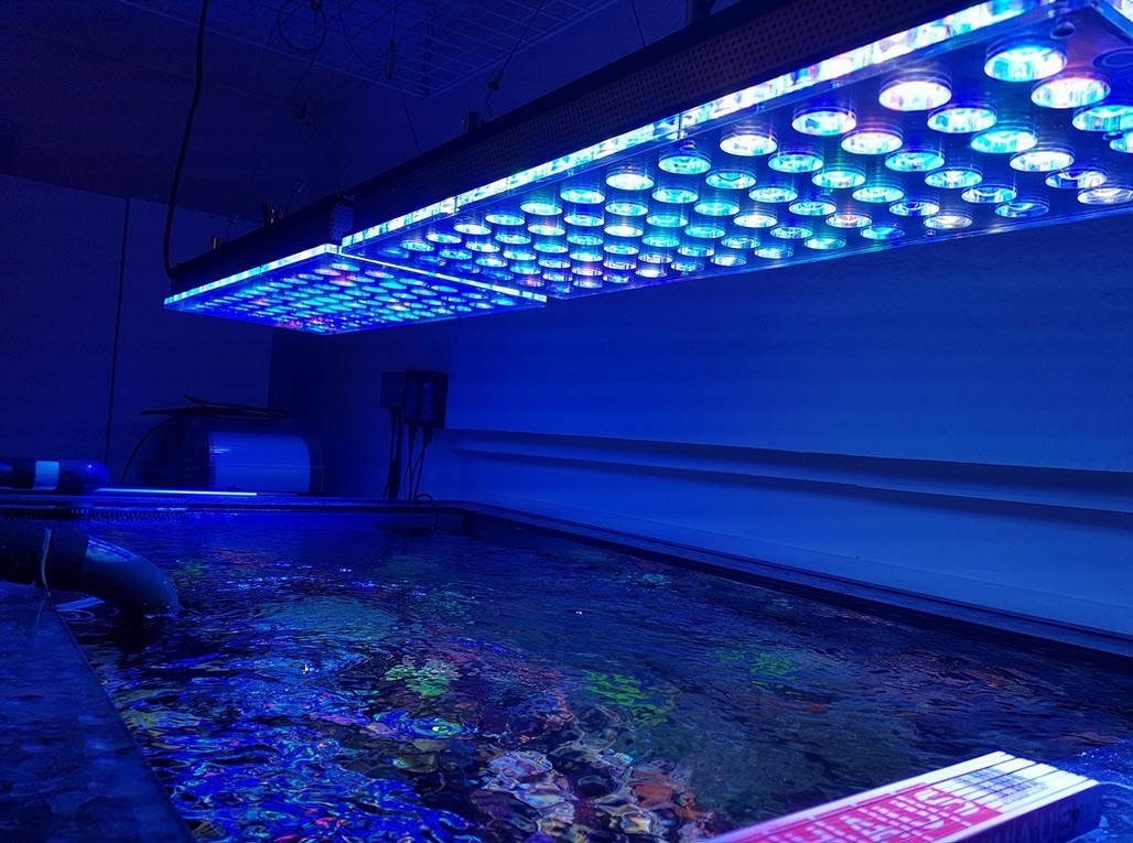 LED Aquarium lighting Orphek Atlantik6.jpg