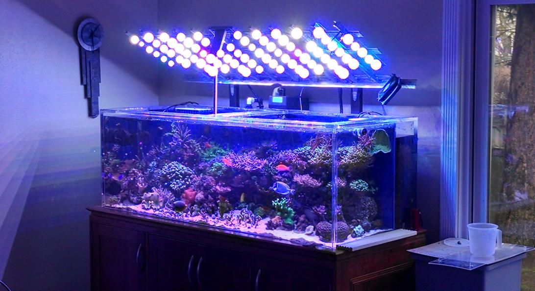 LED array 1-18-14.jpg