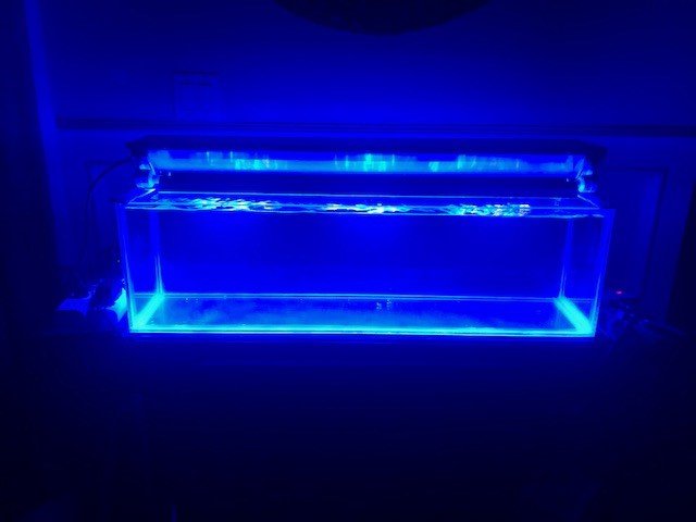 LED.jpg