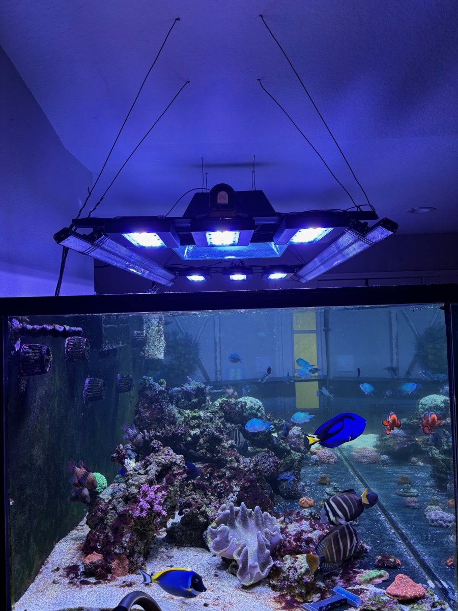 led.jpg