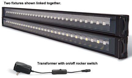LED.jpg